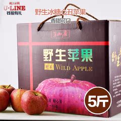 钱报有礼 云南野生丑苹果新鲜苹果水果香甜冰糖心昭通特产约5斤装
