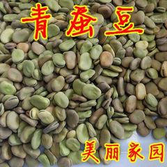 15年新农家自种生蚕豆 干蚕豆 青蚕豆 绿皮蚕豆 500G特价 降/血脂