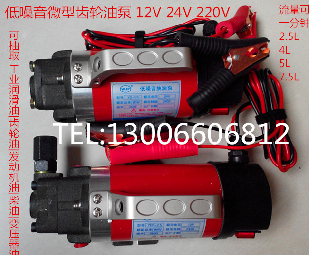 汽车机油泵换油泵微小型齿轮液压油泵12V24V220v小流量电动抽油泵