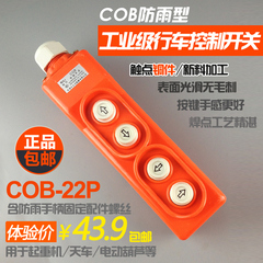 COB-22P直控型防水行车控制开关按钮 链条葫芦上下控制操作手柄