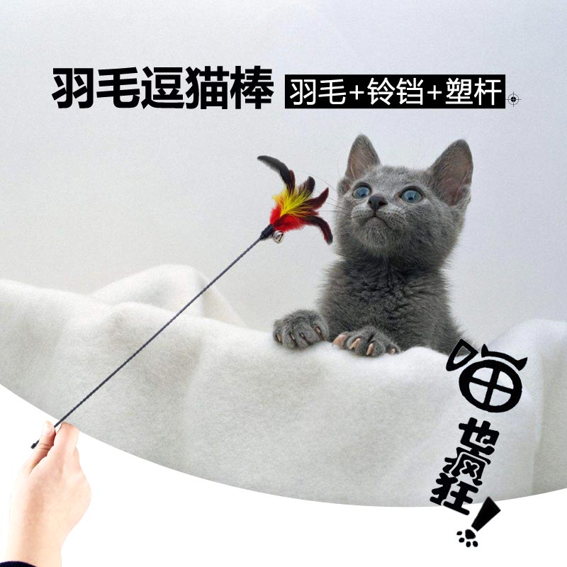 爱咪购羽毛逗猫棒猫玩具宠物用品宠物玩具猫咪玩具用品波斯猫休闲|ruв категории животное/Животное питание и принадлежностей, кошка/собака игрушка, дразнить кошка стержень - от Buy2taobao.com для оказания профессиональной услуги покупки агента Taobao