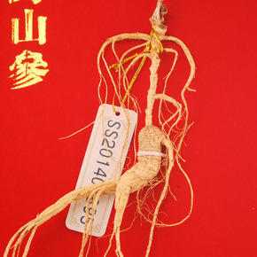 吉林融泽参茸拍卖会野山参专场_珍品拍卖 - 拍卖专场 - 阿里拍卖