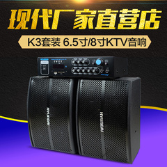 HYUNDAI/现代 K3 KTV音响套装 6.5寸/8寸家用卡拉ok卡包音箱唱歌