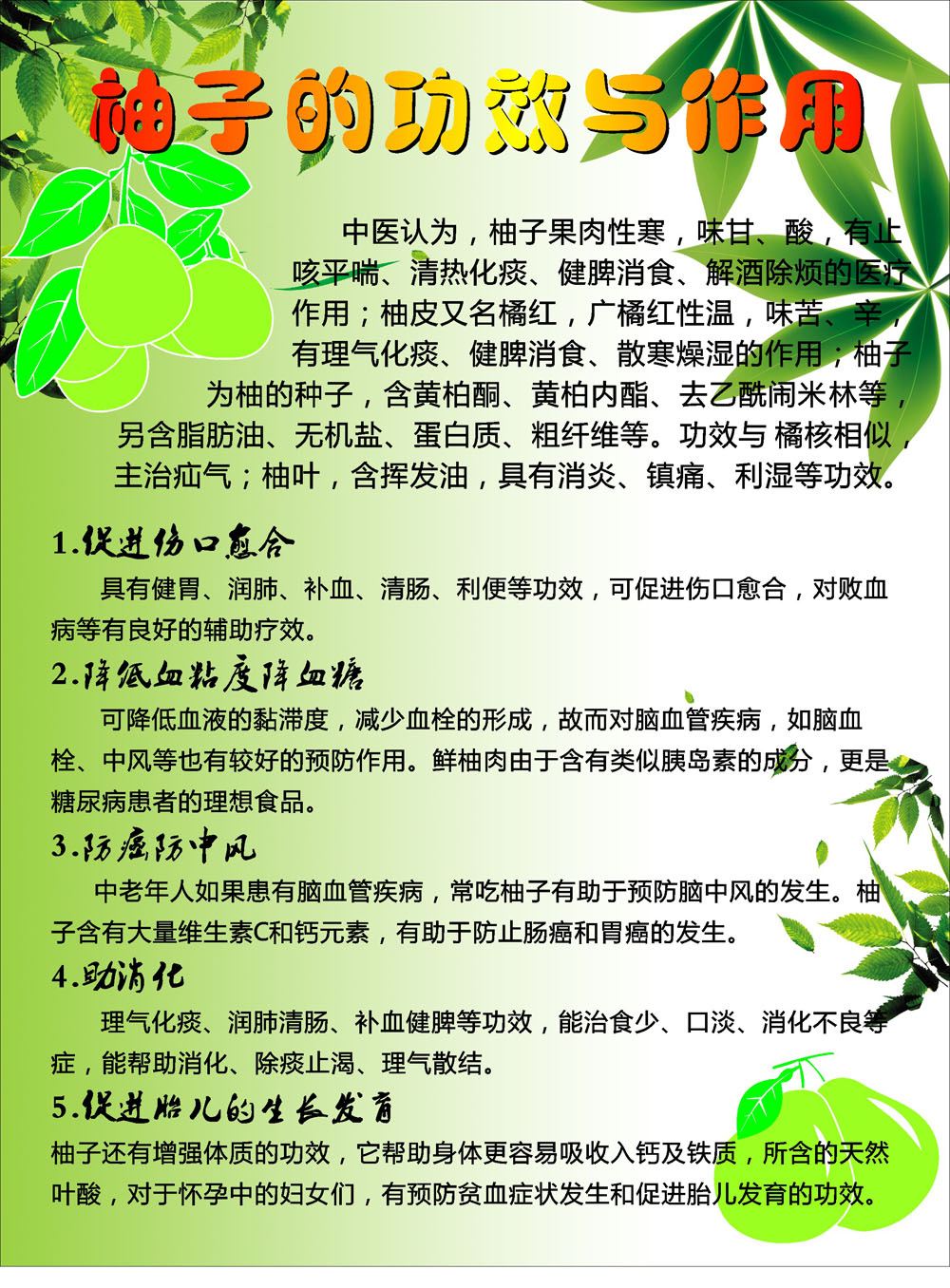 柚子的功效(柚子的功效与作用及营养)