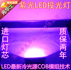 led紫光灯 UV紫光灯投光灯泛光灯投射灯 荧光反射灯