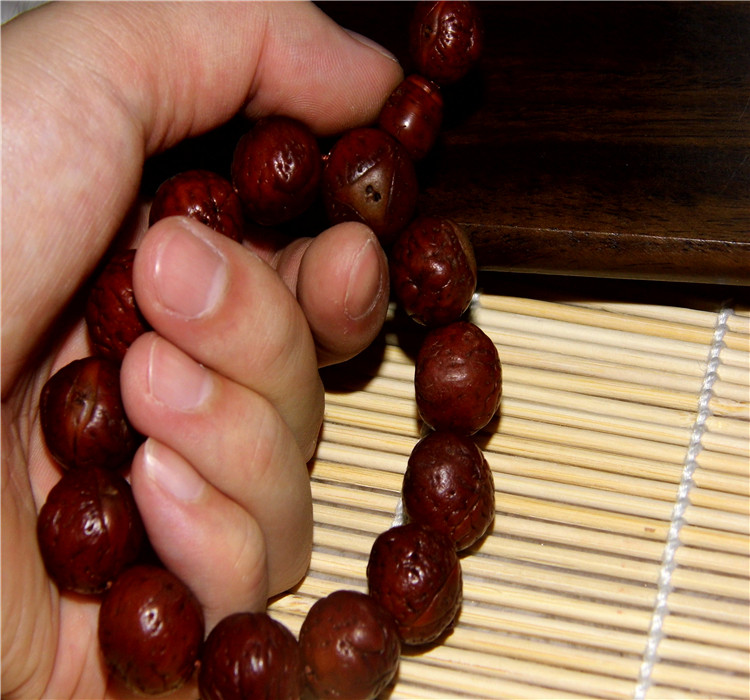 恶魔龙眼菩提_带角尼泊尔恶魔眼凤眼菩提籽1.