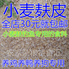 优质小麦麸皮养鸡养鸭养狗钓鱼专用麦麸和玉米颗粒250g是搭档包邮