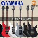 RGX420S