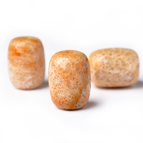 diy天然珊瑚玉菊花石桶珠隔珠藏式108佛珠星月菩提子配饰配件配珠