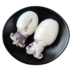 鲜冻墨鱼仔海鲜500g/包小目鱼火锅食材豆捞菜品火锅材料冷冻鱼类