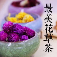 暖芦丨美气血茶花草茶红枣桂圆玫瑰养生气血双补茶养血