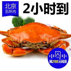 [北京可闪送]青蟹鲜活膏蟹公螃蟹大闸蟹 三门青蟹肉蟹单只6-7两