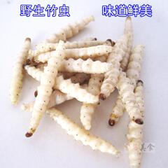 优质竹节虫 竹虫 纯野生竹蜂虫 丰富蛋白质  天然 三斤包邮 500g