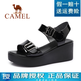 coach皮帶美國的價格查詢 美國 Camel駱駝 正品真皮2020新款女鞋 金屬皮帶扣坡跟厚底涼鞋 coach