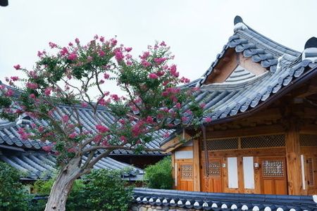 大勇旅馆 - 青年旅舍