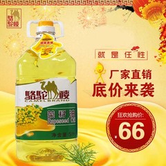 粮油食用油5升 骆驼唛菜籽油5L