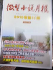 2015年 11月 微型小说月报 杂志 邮政报刊 1-11月打包更优惠33元