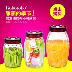 ROBO乐博自动排气无铅玻璃泡酒瓶自酿发酵罐水果酵素瓶密封储物罐