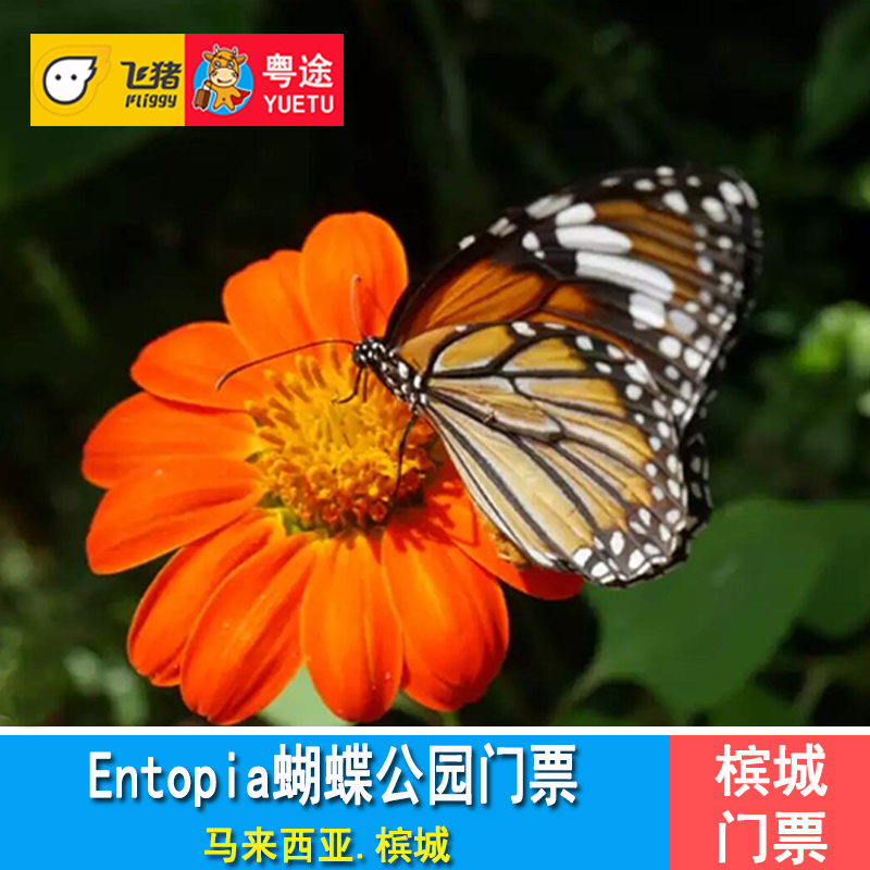 [Entopia蝴蝶公园-大门票（限非马来西亚籍）]槟城蝴蝶公园博物馆门票虫鸣大地