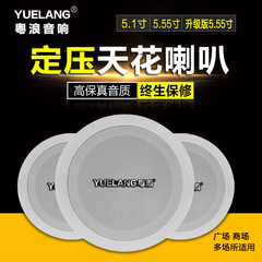 粤浪 YL-019天花吸顶喇叭音响 定压功放喇叭套装 背景乐吊顶音箱