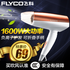 Flyco/飞科FH6660电吹风机可折叠冷热风小功率静音负离子吹风筒