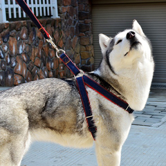 牛仔宠物牵引绳胸背带牵引带胸背套狗绳子中大型犬链子狗链子