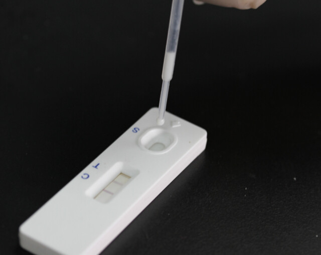 检测微囊毒素lr快速胶体金检测水质安全检测天河绿洲其它仪表仪器