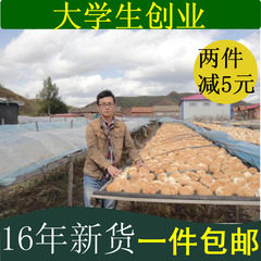 2016 东北野生特级猴头菇 粉片 菌 干货新鲜养胃   250g 一件包邮