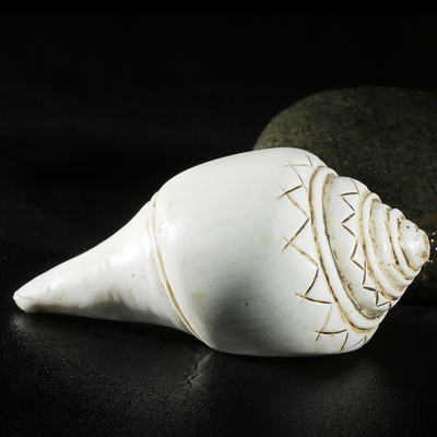 观音寺 密宗法器 白海螺 法螺 佛法加持