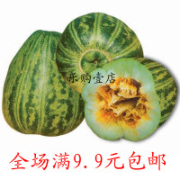 花皮梢瓜黑皮烧瓜酥瓜种子 花皮菜瓜 梢瓜 甜瓜