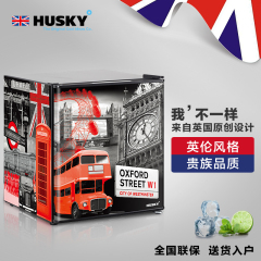 哈士奇 BC-46UKA米字旗单门家用冷藏酒店客房小冰箱一级节能冰吧