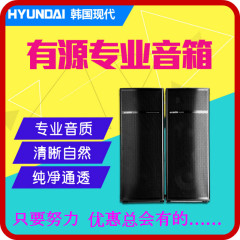 HYUNDAI/现代DB20 有源专业音箱 舞台监听音响落地式对箱双10寸