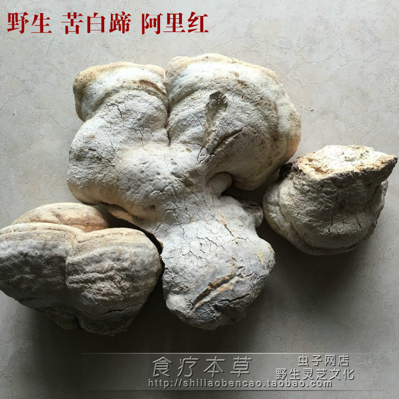 野生药用真菌野生苦白蹄阿里红苦白拟层孔菌药用拟层孔菌500克