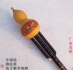 云南葫芦丝民族乐器专卖 凤尾竹红管葫芦丝 降b调 初学c调葫芦丝