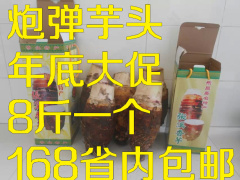 粤北韶关乐昌特产乐昌张溪香芋炮弹芋头远方的家8-9斤批发现货