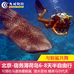 春节特惠 北京上海-菲律宾旅游宿务/宿雾薄荷岛6日潜水鲸鲨自由行