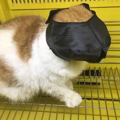 猫咪洗澡美容眼罩防咬口罩嘴套打针剪指甲头套宠物猫用保护罩用品
