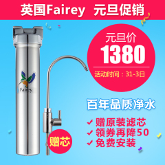 Fairey道尔顿家用净水器直饮fis101厨房水龙头自来水过滤器净水机