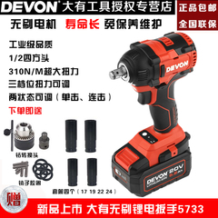 DEVON大有锂电无刷电机充电冲击扳手310牛电动工具5733-Li-20S2