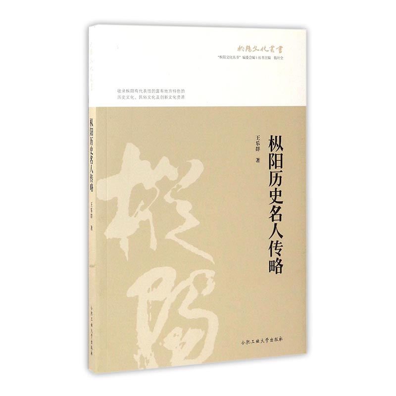 枞阳历史名人传略乐群合肥工业大学出版社人物合集书籍
