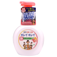 日本原装狮王LION全植物弱酸性除菌泡沫洗手液250ml*婴幼儿可用