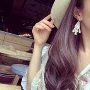 Korea new simple elegant fashion Korean wild long tassels earring jewelry earing accessory