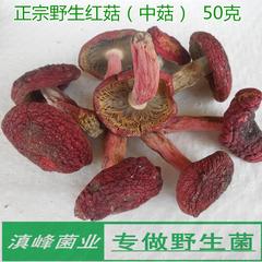 正宗野生红菇干货 特级大红菌红椎菌云南普洱土特产煲汤鲜美50克