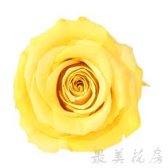 日本出口永生花玫瑰花头保鲜花1-2cmDIY花材红绿黄粉绿单朵批发