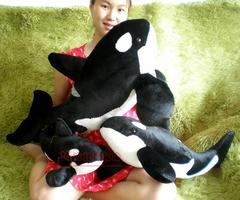 虎鲸毛绒玩具海洋馆虎鲸公仔鲸鱼公仔鲸鱼抱枕儿童早教生日礼物