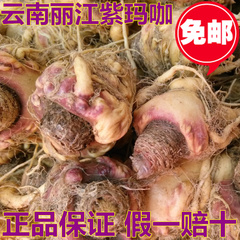 现挖云南丽江新鲜紫玛卡 新鲜玛咖秘鲁鲜玛咖 非干果500g