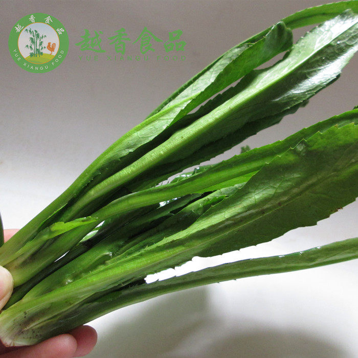 泰国香菜元西新鲜芫荽鹅芥菜大野芫莤 mui tau 越南假刺芫茜500g