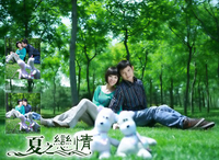 荷花荷塘美景 高清舞台晚会浪漫婚礼婚庆LED