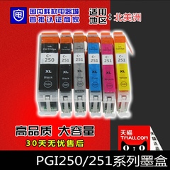 YSY 适用于PIXMA IP7220 MG5420 MG6320墨盒 PGI-250 CLI251墨盒