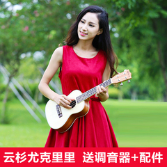 TOTORO尤克里里23寸乌克丽丽ukulele夏威夷初学者小吉他电箱吉他